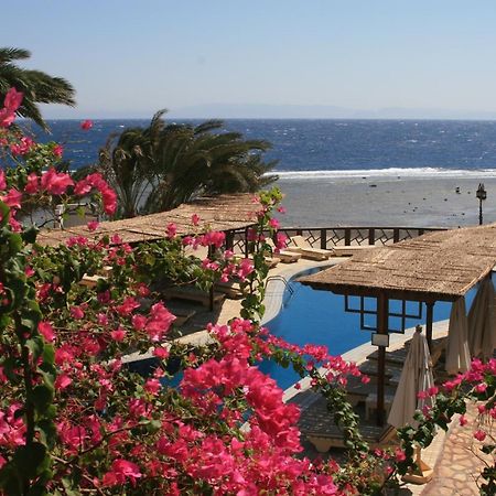 Nesima Resort Dahab Bagian luar foto