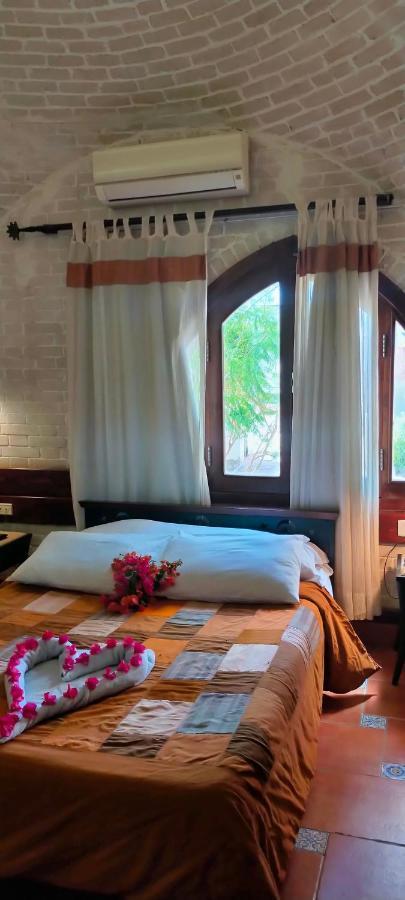 Nesima Resort Dahab Bagian luar foto