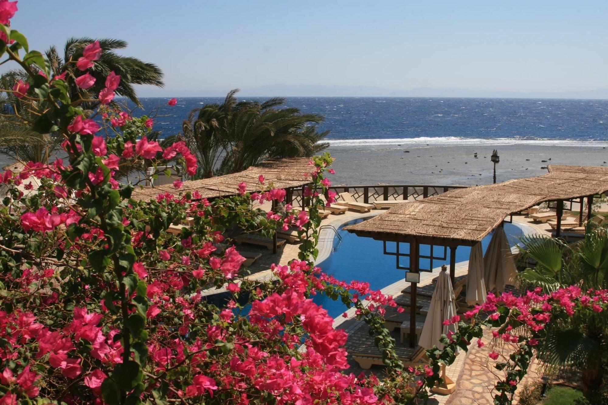 Nesima Resort Dahab Bagian luar foto